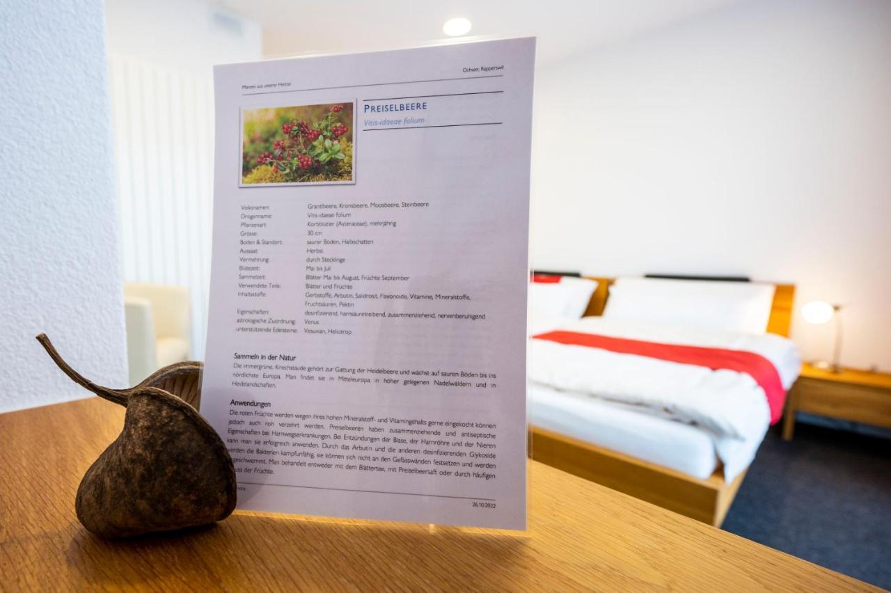 Hotel Ochsen Rapperswil/Be Rapperswil  Dış mekan fotoğraf