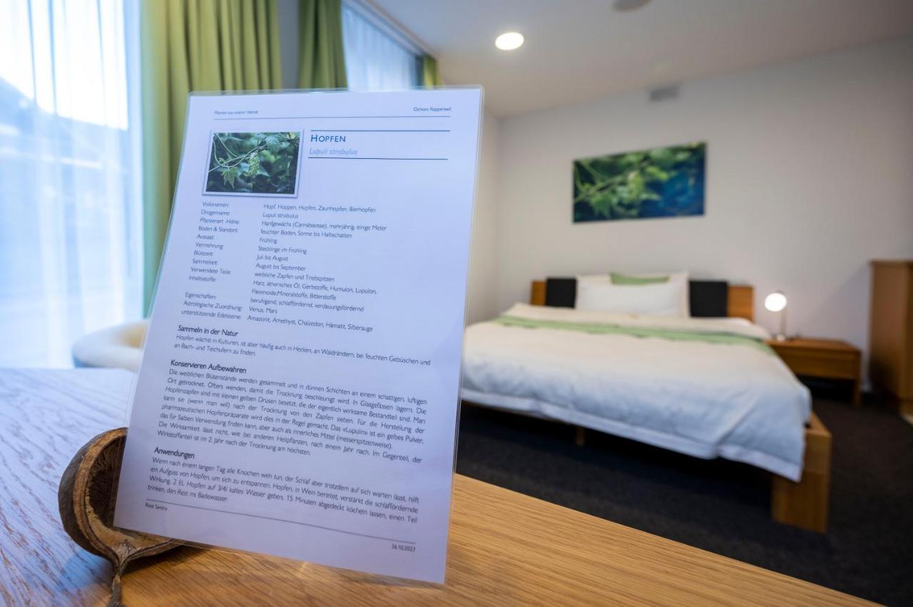 Hotel Ochsen Rapperswil/Be Rapperswil  Dış mekan fotoğraf